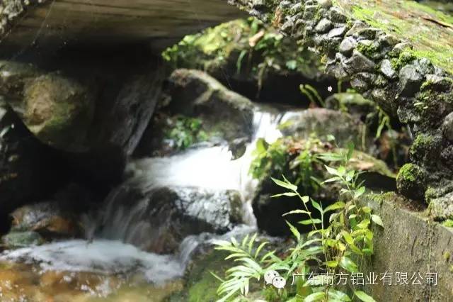 1489460927663596.jpg 2.jpg