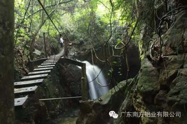 1489460967730542.jpg 4.jpg